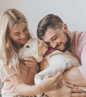 Family Pets